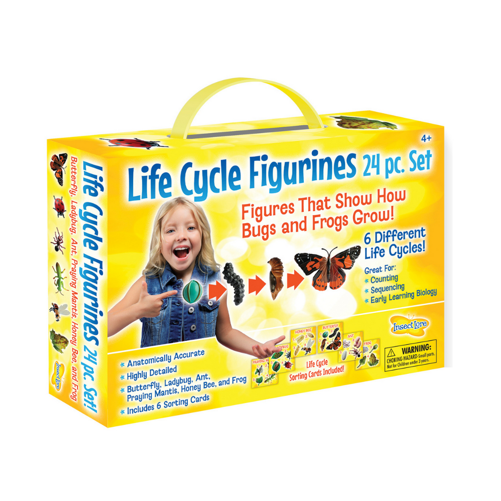 Life Cycle Stages 24 Piece Set – CM School Supply