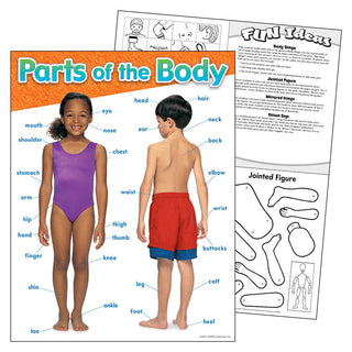 Parts of the Body Learning Chart
