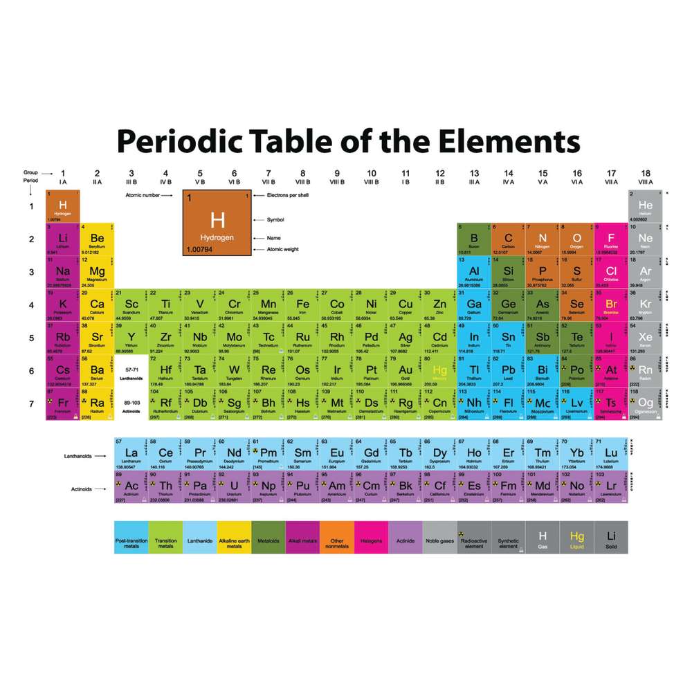 Smart Poly® Chart 13