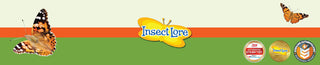 Insect Lore Collection