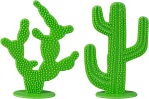 2 Piece Cactus Set