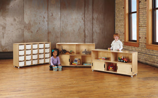 TrueModern Storage Shelf