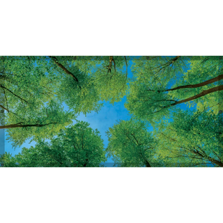 Forest Calming Covers Ceiling Light Filters