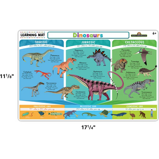 Dinosaurs Learning Mat