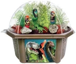 Grow Your Own Dinosaur Biosphere - Unique and Fascinating Prehistoric Pines, Ferns and Palms