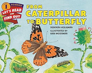 FROM CATERPILLAR TO BUTTERFLY BIG BOOK