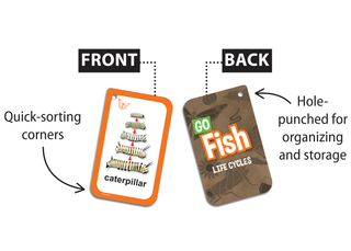 Go Fish: Life Cycles Flash Cards