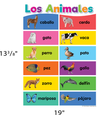 Spanish Colorful Early Learning Small Poster Pack