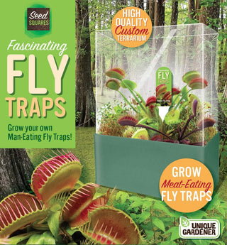 Grow Your Own Venus Fly Trap - Complete Kids Terrarium Kit to Plant Fascinating Man Eating Fly Traps