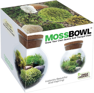 Create Your Serene Moss Sanctuary with The Unique Gardener Moss Bowl Terrarium Kit with LED Light