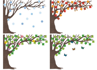 Tree for All Seasons Bulletin Board Set