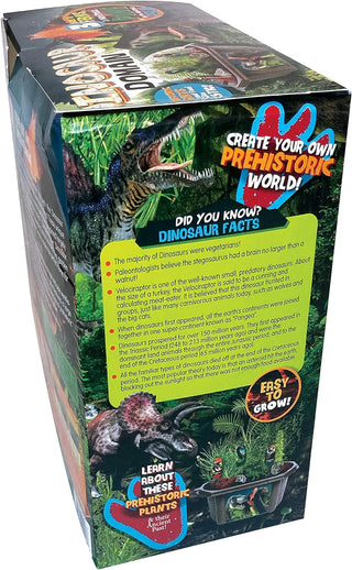 Grow Your Own Dinosaur Biosphere - Unique and Fascinating Prehistoric Pines, Ferns and Palms