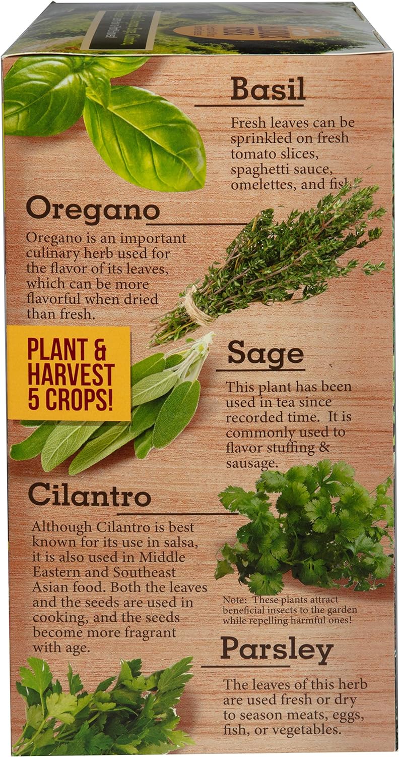plant food for indoor herbs Biosphere Terrarium