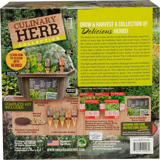 Indoor Herb Garden Starter Kit - Includes Potting Soil, Terrarium, 5 Herb Seed Packets Basil, Oregano, Rosemary Sage, Cilantro, and Parsley
