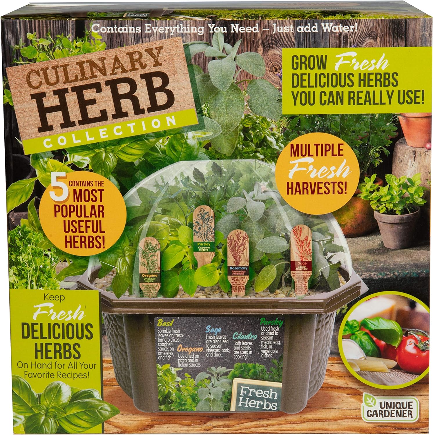 herb potting mix Unique Gardener Biosphere Terrarium Kit