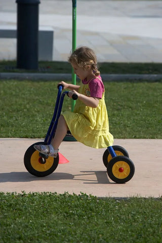 Atlantic Series Small 10" Tricycle