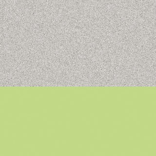 Rainbow Accents 10 Section Wall Mount Coat Locker - with Trays - Key Lime Green