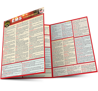 EMS TERMINOLOGY BAR CHART