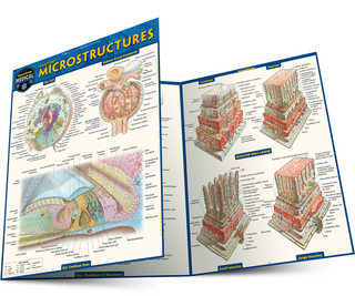 ANATOMY: MICROSTURCTURES BAR CHART