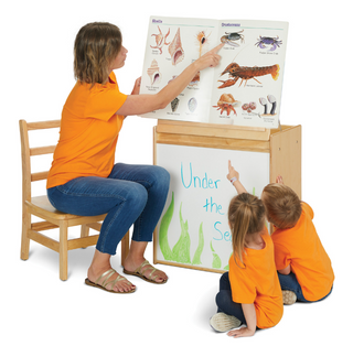 Young Time Big Book Easel