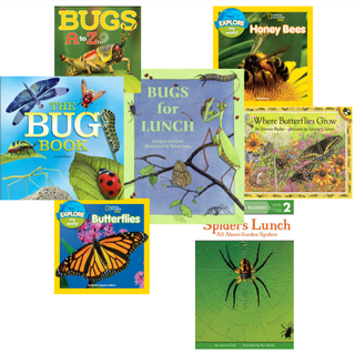 Insect Book Set