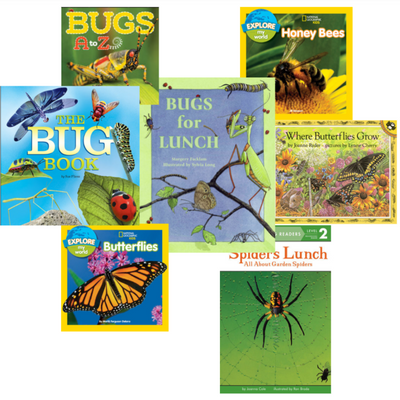 Insect Book Set