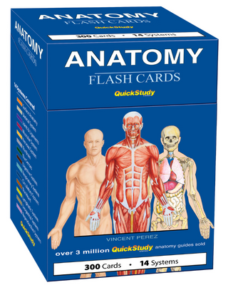 Anatomy Flash Cards
