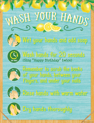 Lemon Zest Wash Your Hands Chart, 17" x 22" (D)