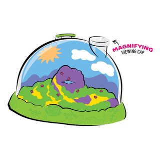 LADYBUG LAND WITH VOUCHER