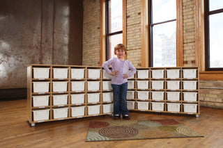 TM_Storage-20Cubbie_wkid