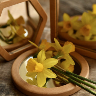 Little Looking Shape Mirrors