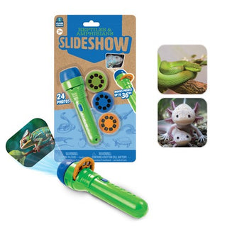 Reptile / Amphibian Slide Show