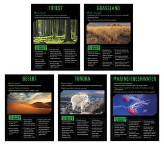 Ecosystems 5-Poster Set