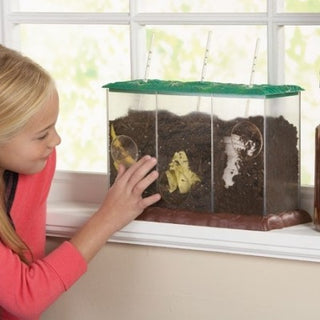 See-Through Compost Container
