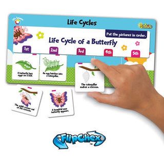 FlipChex Science Life Cycles (DISC)