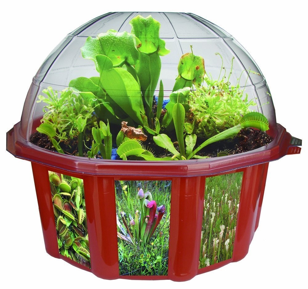 making a carnivorous plant terrarium Carnivorous Creations – CM School Supply