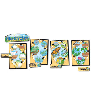 Life Cycles Bulletin Board Set Grade 1-8