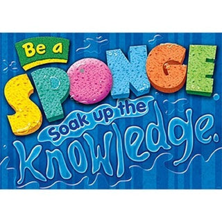 Argus® Poster: Be A Sponge