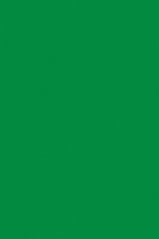 Spectra® Art Tissue (Apple Green)
