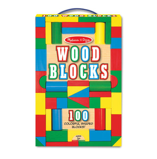 Painted Blocks - 100-Piece Set