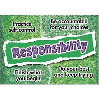 Argus® Poster: Responsibility — CM School Supply