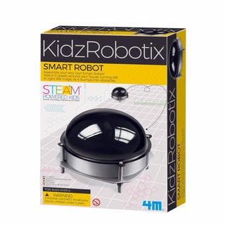 Toysmith Smart Robot