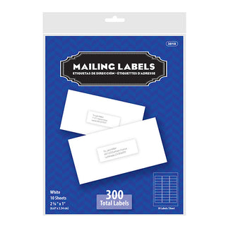 BAZIC 1" X 2 5/8" White Address Labels (300/Pack)