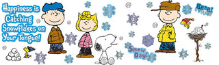 Peanuts Happiness Is A Snowflake Bulletin Board Set