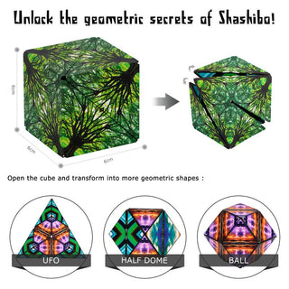 Shashibo Shape Shifting Artist Series: Elements