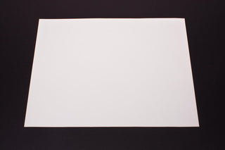 White Poster Board (100 sheets)