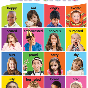 Colorful Emotions Chart — CM School Supply