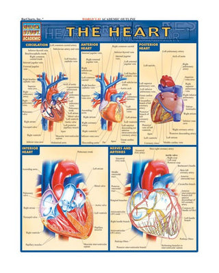 QuickStudy: The Heart