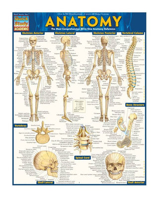 QuickStudy® Anatomy