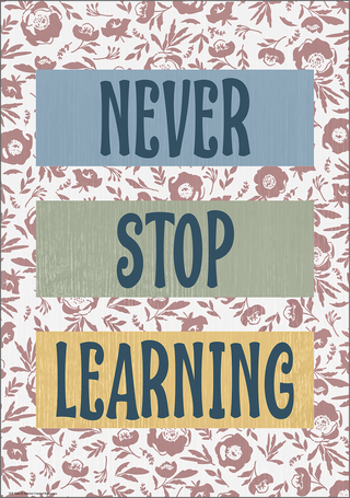 Never Stop Learning Positive Poster